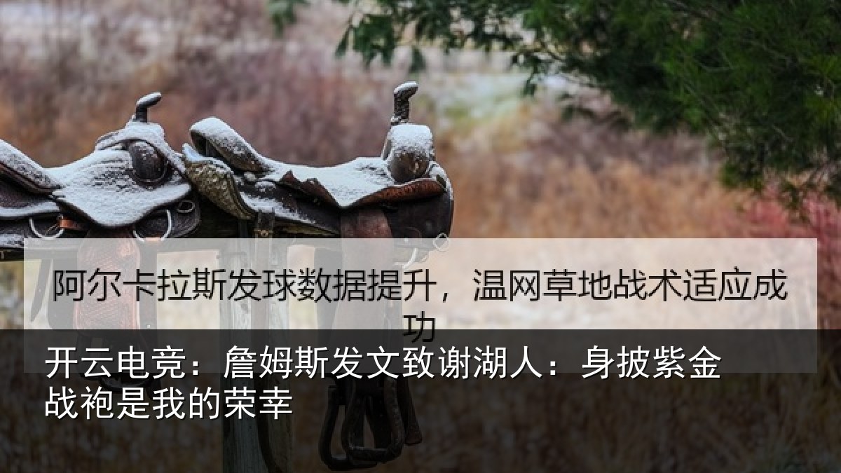 开云电竞:詹姆相关情况披紫相关情况