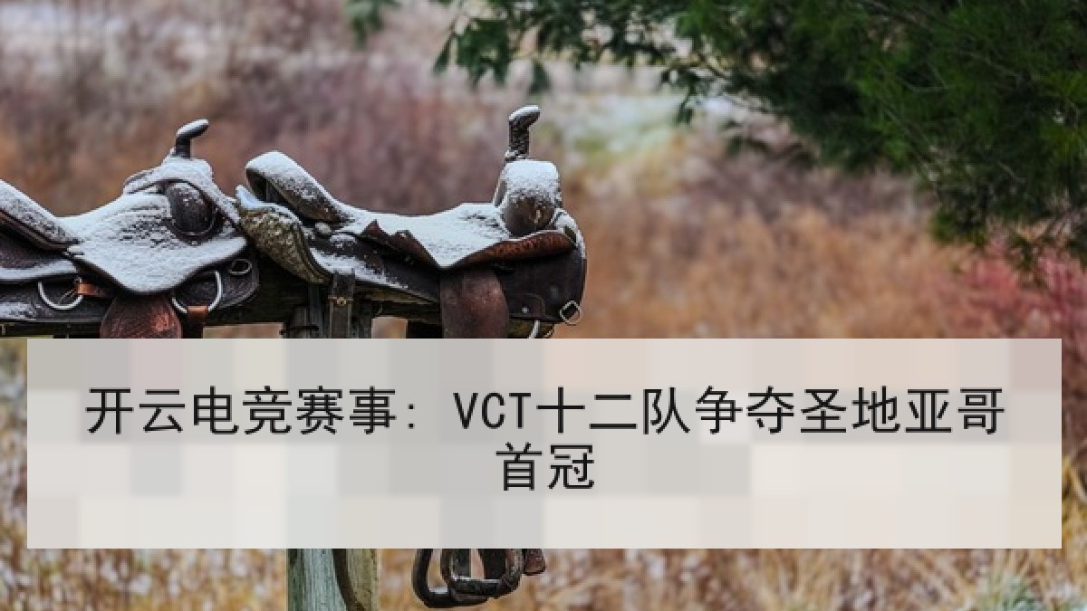 开云电竞赛事: VCT十二队争夺圣地亚哥首冠