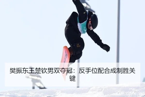 fan-zhen-dong-wang-chu-qin-nan-shuang-duo-guan-fan-shou-wei-pei-he-cheng-zhi-sheng-guan-jian-2-362.jpg