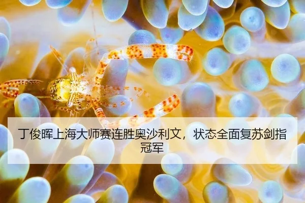 ding-jun-hui-shang-hai-da-shi-sai-lian-sheng-ao-sha-li-wen-zhuang-tai-quan-mian-fu-su-jian-zhi-guan-jun-2-939.jpg
