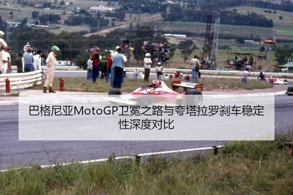 ba-ge-ni-ya-wei-mian-zhi-lu-yu-kua-ta-la-luo-cha-che-wen-ding-xing-shen-du-dui-bi-2-762.jpg