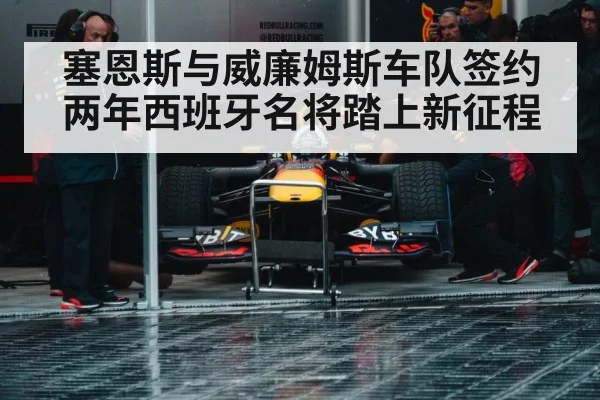 Formula 1 pit stop