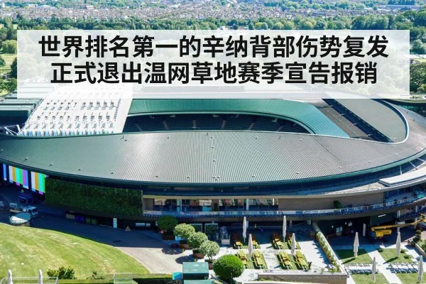 世界排名第一的辛纳背部伤势复发正式退出温网草地赛季宣告报销
